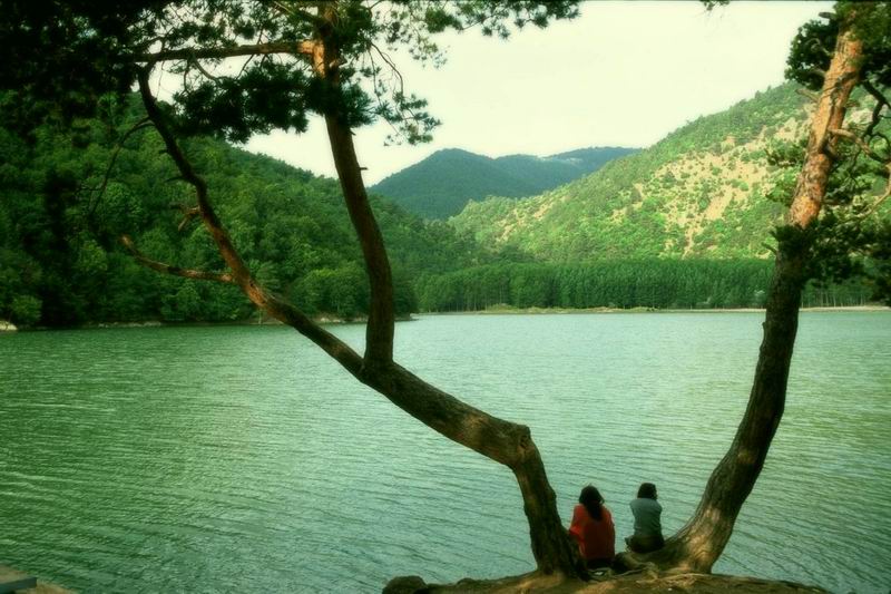 T.C. Amasya Belediyesi
